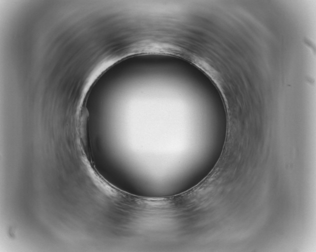 X0000099401152200805081528