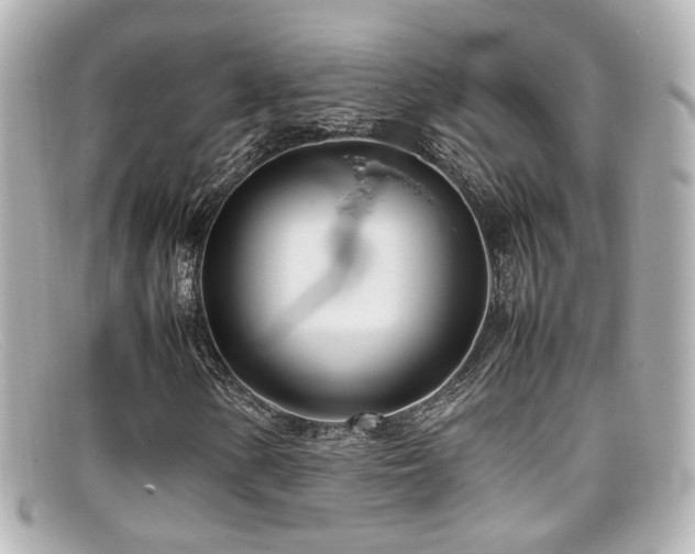 X0000099401154200805081528