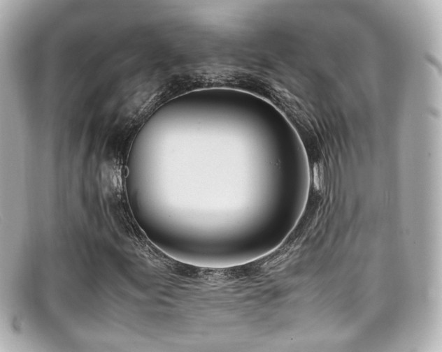 X0000099401155200805081528