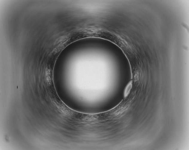 X0000099401156200805081528