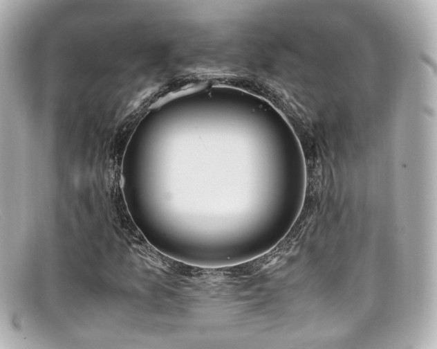 X0000099401157200805081527