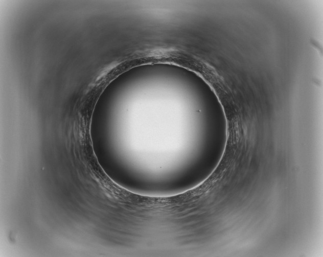 X0000099401158200805081527