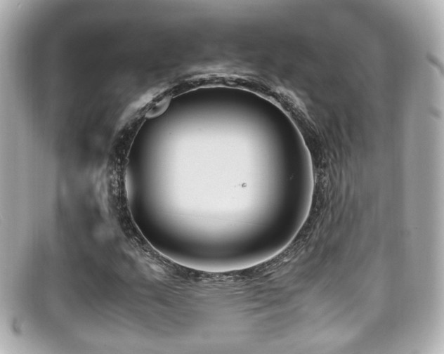 X0000099401159200805081527