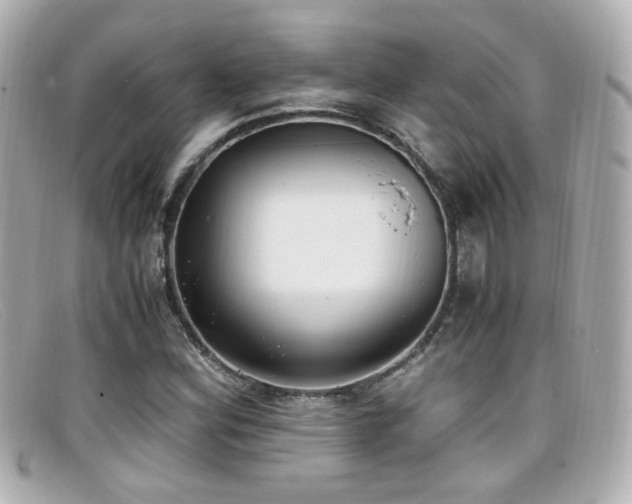 X0000099401164200805081527
