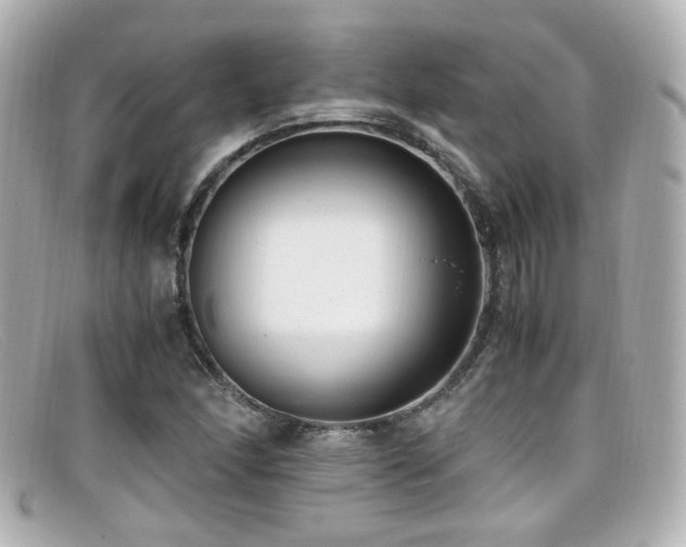 X0000099401166200805081527