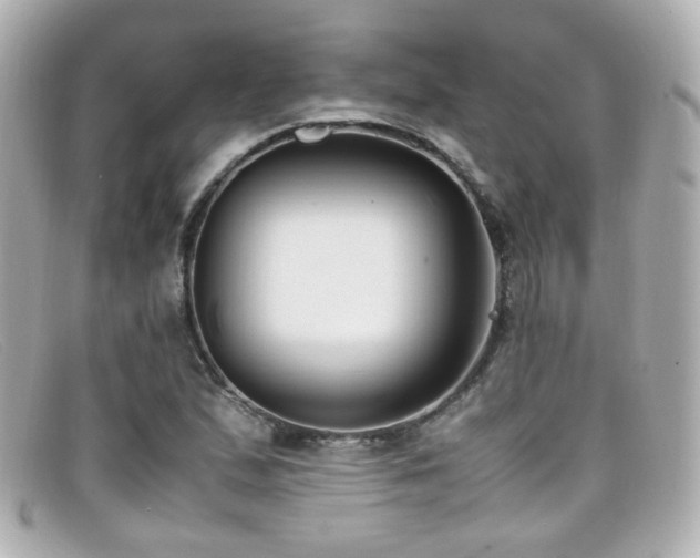 X0000099401167200805081527