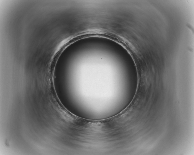 X0000099401168200805081527