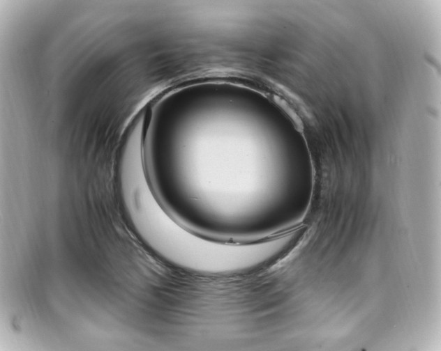 X0000099401170200805081527