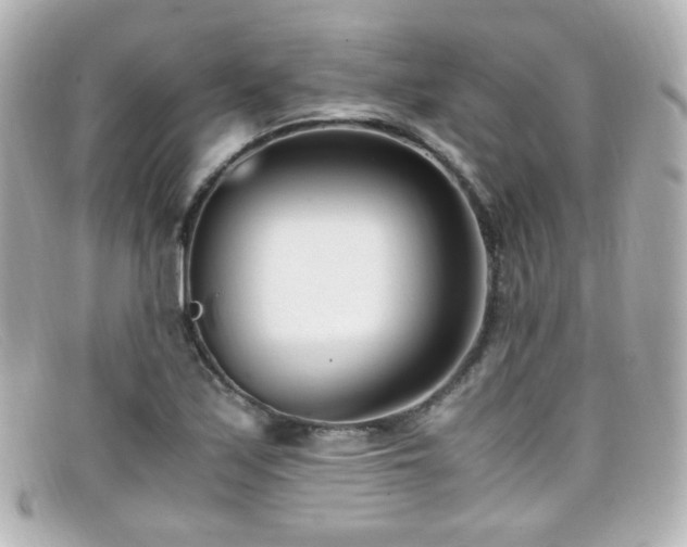 X0000099401171200805081527