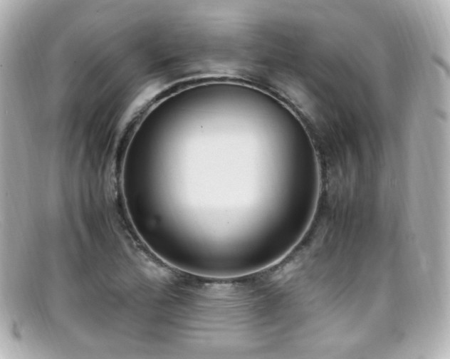 X0000099401172200805081527