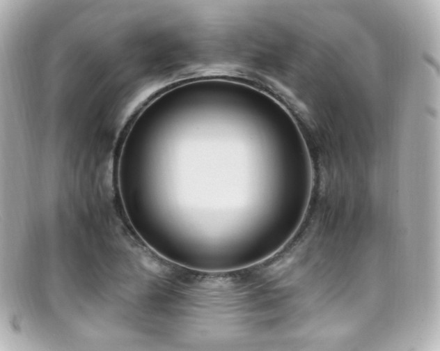 X0000099401174200805081527