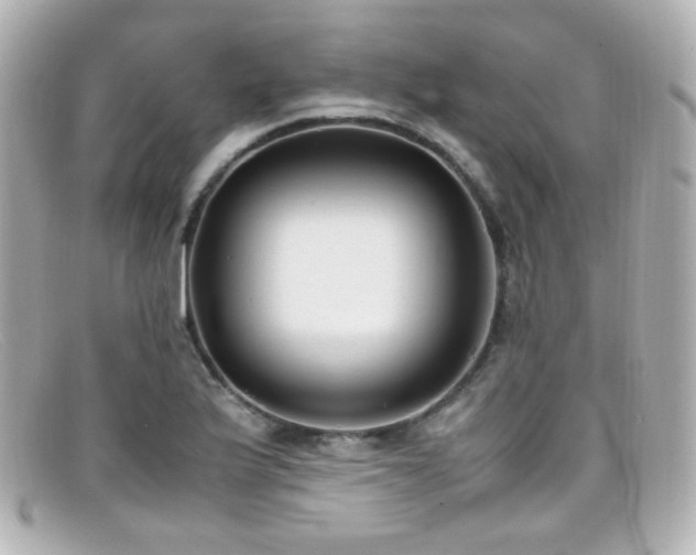 X0000099401175200805081527