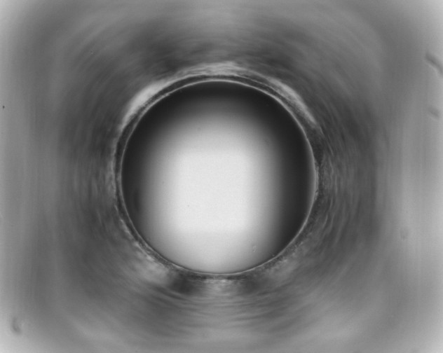 X0000099401176200805081527