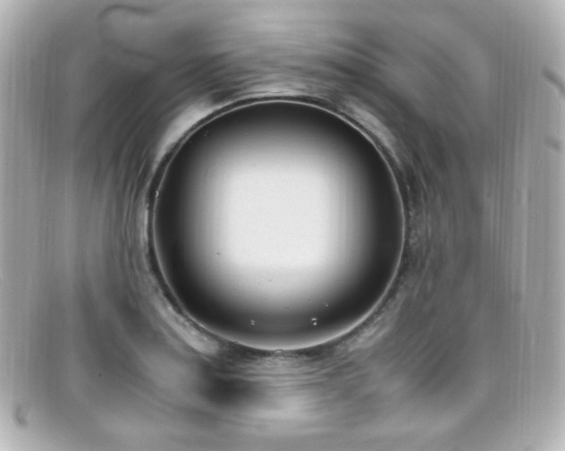 X0000099401179200805081527