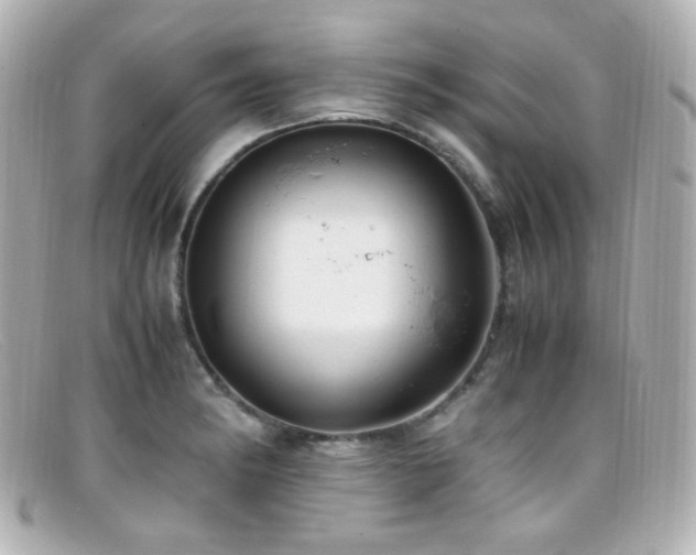 X0000099401182200805081527