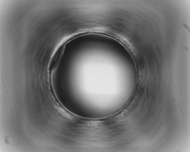 X0000099401184200805081527