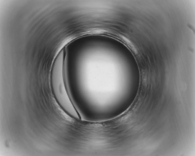 X0000099401186200805081527