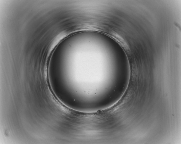 X0000099401188200805081527