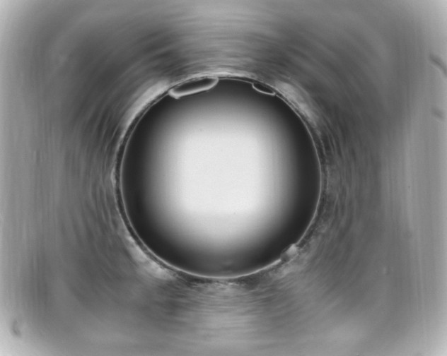 X0000099401189200805081527