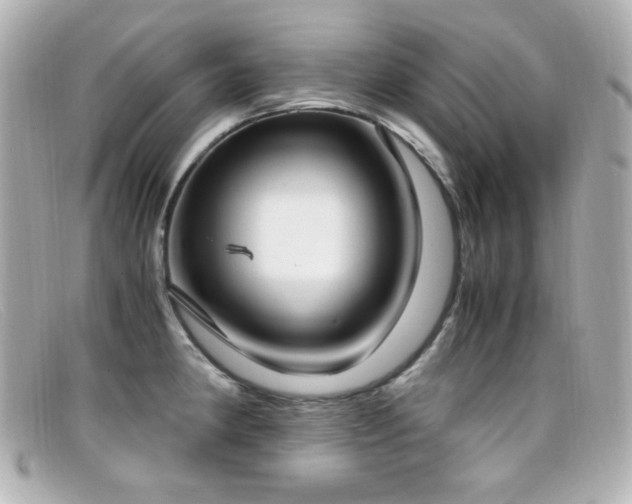 X0000099401190200805081527