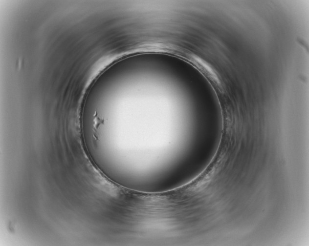 X0000099401192200805081527