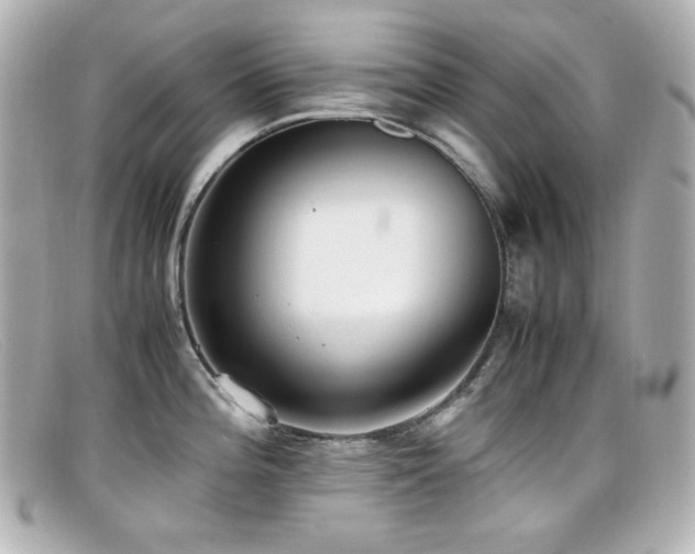 X0000099401196200805081527