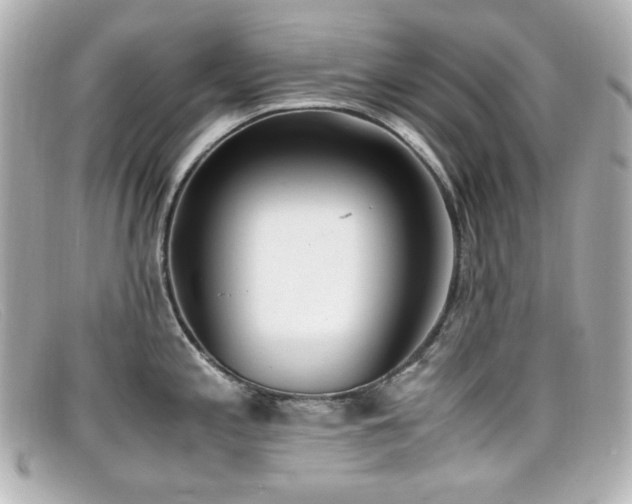 X0000099401197200805081527