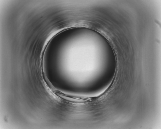 X0000099401200200805081527