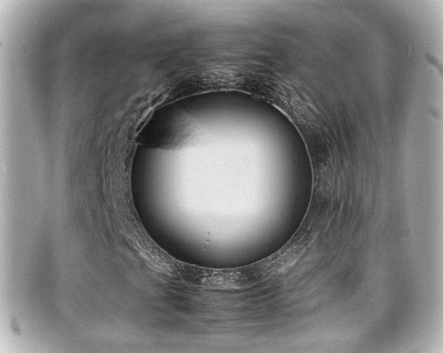 X0000099401201200805081526