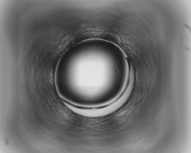 X0000099401203200805081526