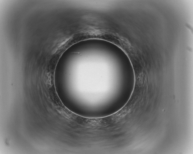 X0000099401205200805081526