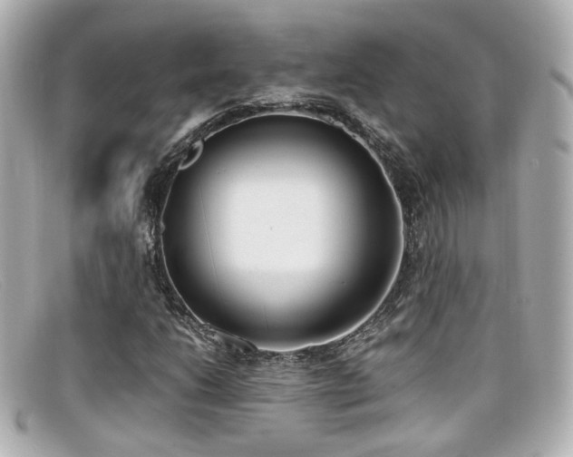 X0000099401206200805081526