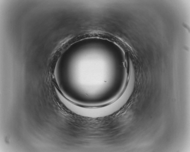 X0000099401207200805081526