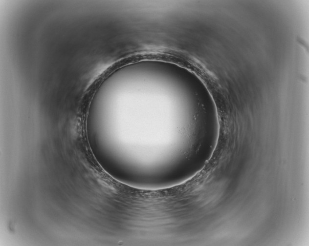 X0000099401208200805081526