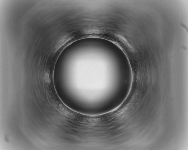 X0000099401209200805081526