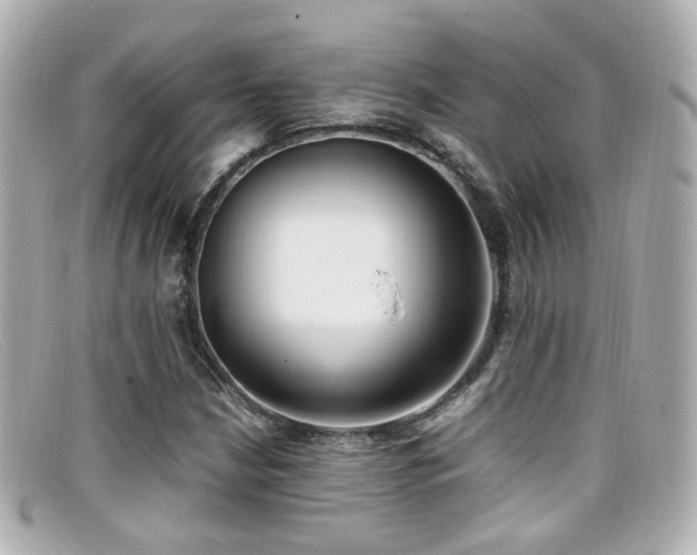 X0000099401210200805081526