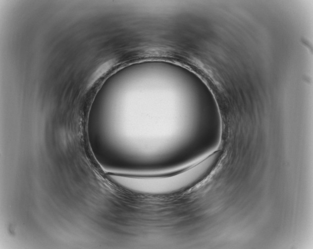 X0000099401211200805081526