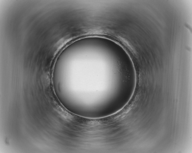 X0000099401212200805081526