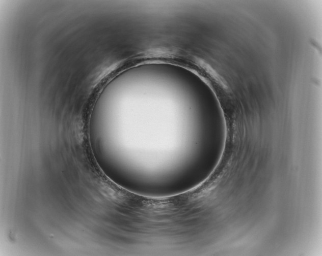 X0000099401213200805081526