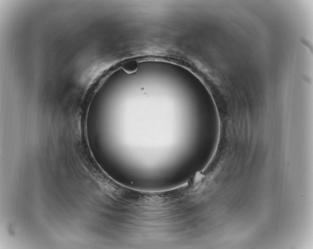X0000099401214200805081526