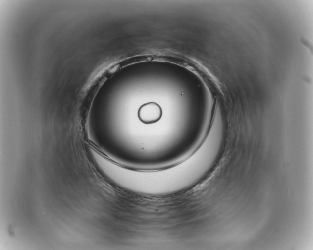X0000099401215200805081526