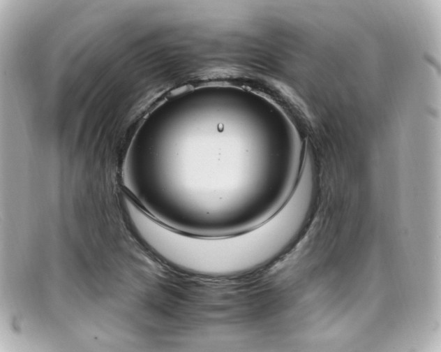 X0000099401217200805081526
