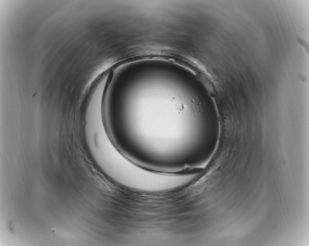 X0000099401219200805081526