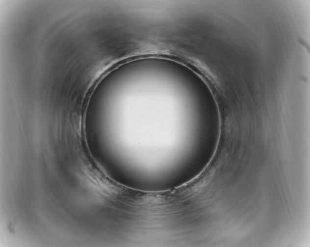 X0000099401220200805081526