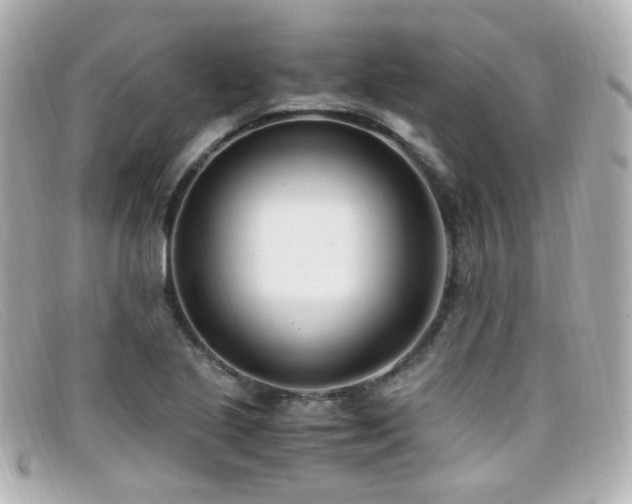 X0000099401221200805081526