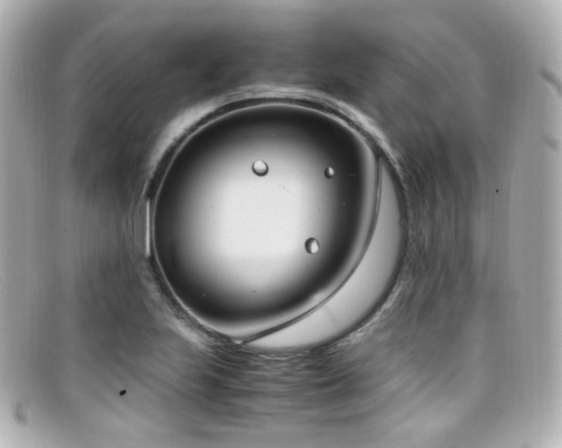 X0000099401223200805081526