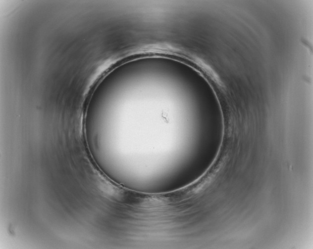 X0000099401224200805081527