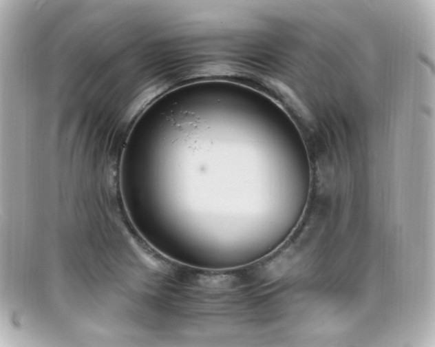 X0000099401225200805081527