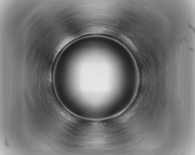 X0000099401226200805081527