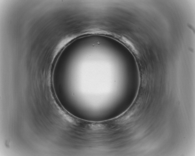 X0000099401231200805081527